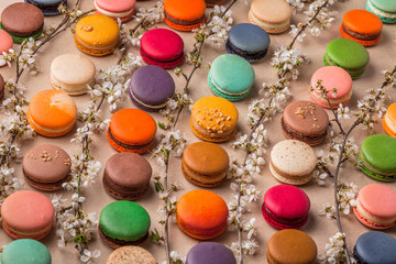 Macarons lined-up large colorful arrangement with spring flowers on rustic background lined up in studio