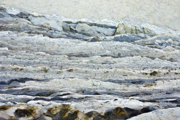 flysch zumaia_50