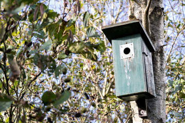 nest box on a tree
