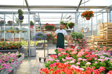 gardeners work in a shop for the production and sale of flowers 