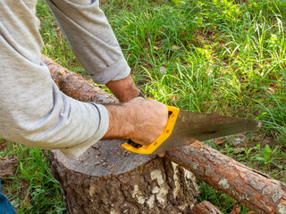 Hands of a man saw with a hand saw a small log lying on a stump.