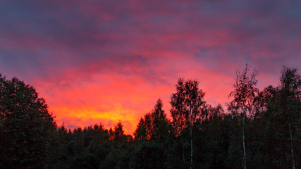 Fototapeta na wymiar Colorful sunset in the cloudy sky above the green forest