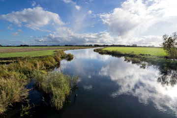 Dutch polder landscape in the province of Friesland - obrazy, fototapety, plakaty