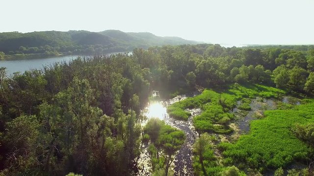 4K aerial view of river and birds, 4K aerial view of Cormorants on trees, 4K aerial view of nesting cormorants, Birds Making Nests, Cormorants resting on dry tree