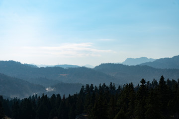 mountain layers, woodlands and mediterranean vegetation