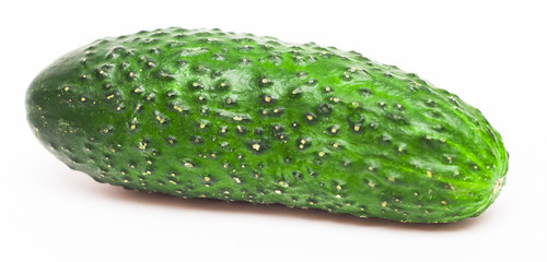 fresh green cucumber  on white background