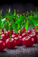 Sour cherries close up arrangement with green leaves lined up on dark background and selective focus in studio