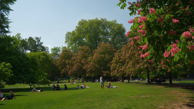 zurich city summer day museum central park meadow slow motion panorama 4k switzerland
