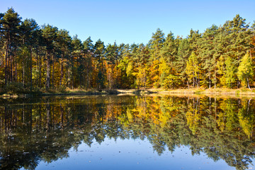 Pond in the forest with colorful autumn trees on a sunny day.