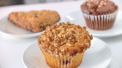 Vegan Cranberry Oat Muffin