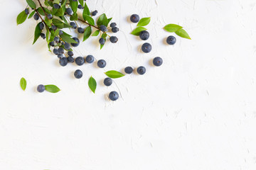 Blueberries isolated on white background, texture with copy space. Blueberries are antioxidant organic superfood