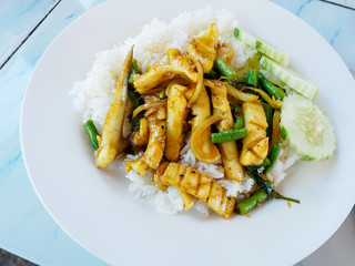 Curry Squid