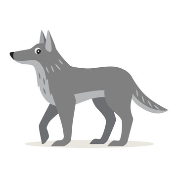 Icon of gray wolf isolated, forest, woodland animal, children illustration, vector illustration