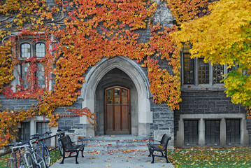 entrance to old ivy covered gothic stone college building with fall colors - obrazy, fototapety, plakaty