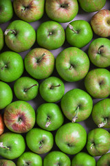 Fresh organic green apples overhead large colorful arrangement on blue background close up in studio