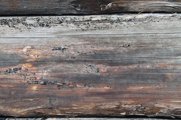 Naklejka premium The old wood texture with natural patterns. Inside the tree background. Old grungy and weathered grey wooden wall planks texture background