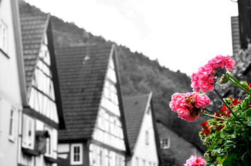 A black and white photograph of a Bavarian village. The houses have high sloping roofs and wooden detailing. Red and pink geraniums are in a window box.