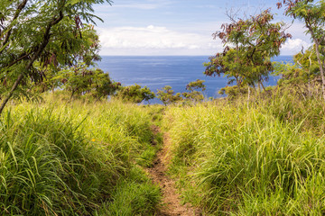 Fototapeta na wymiar Cpt. Cook Monument Trail, Big Island, Hawaii