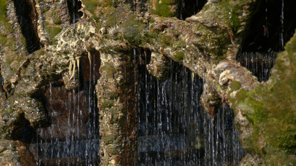 old mill wheel, France