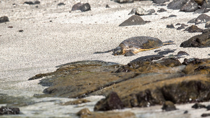 Pu'uhonua O Hōnaunau National Historical Park, Big Island, Hawaii
