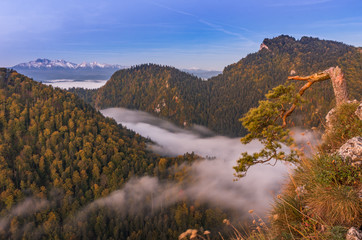 Fototapeta na wymiar Morning mountains panorama, Pieniny Poland