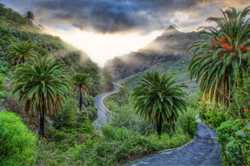 Fototapeta na wymiar Palms and serpentine near Masca village with mountains, Tenerife
