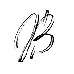 Bitcoin sign - Modern calligraphy