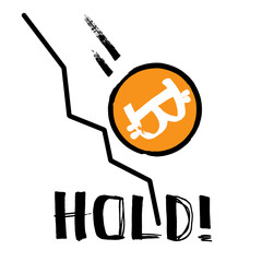 Hold! - Falling Bitcoi
