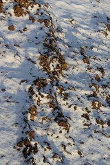 icy hill