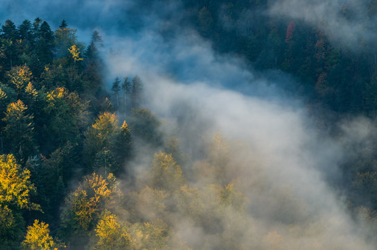 Fototapeta Morning mists and colorful autumn forest landscape in the mountains
