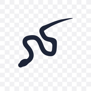 blindworm transparent icon. blindworm symbol design from Animals collection.