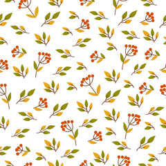 Seamless pattern with branches, leaves, berries on a white background. Doodle illustration. Thanksgiving day, autumn holiday, baby shower