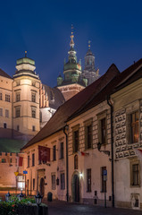 Fototapeta na wymiar Wawel castle and Kanonicza street in Krakow, illuminated in the night