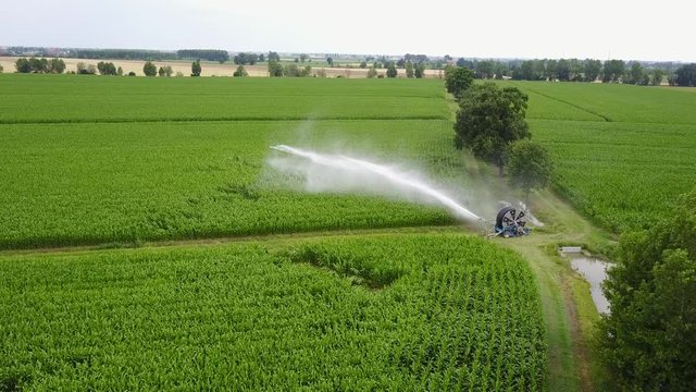 Irrigazione vista da drone