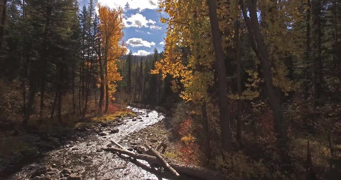 Aerial Drone shot panning down a creek or stream in the fall or autumn in Montana