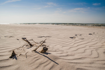 Clean beach by Baltic Sea