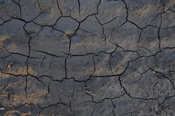 tierrra, arido, barro, lodo, textura, agrietado, viejo, paisaje, formas, lineas, desierto, con textura. fondos, 