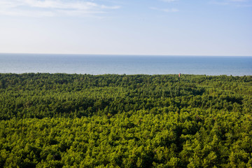 Fototapeta na wymiar landscape with trees and blue sea