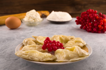 A portion of dumplings in a plate with red berries of viburnum, ingredients for cooking – egg,...