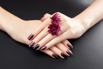 Black and burgundy manicure with flowers on black background. Gel nail polish with mirror powder...