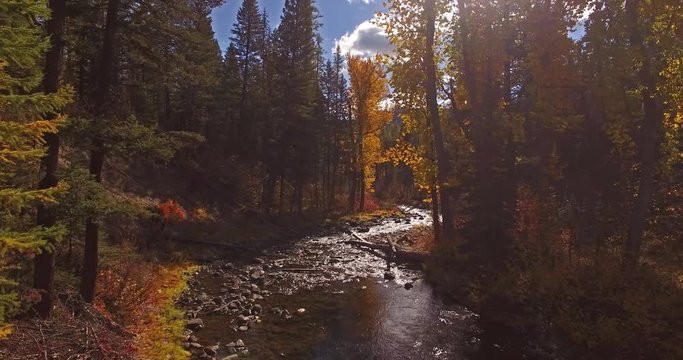 Aerial Drone shot panning down a creek or stream in the fall or autumn in Montana