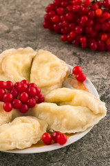 Dumplings with filling, laid out on a plate with red viburnum berries, marble background.