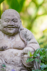 Obraz premium Forest Buddah