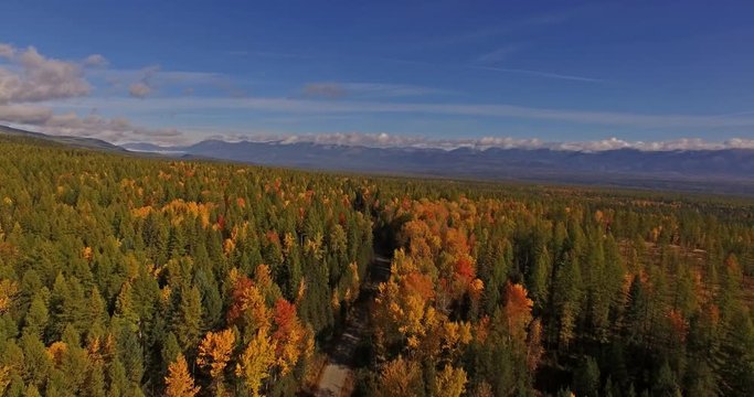 Aerial Drone Shot in Montana traveling down a dirt road in the Fall or Autumn
