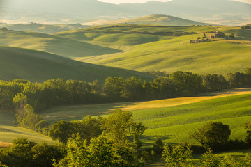 The lovely iconic landscapes of Tuscany in the morning sun