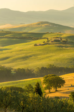 The lovely iconic landscapes of Tuscany in the morning sun