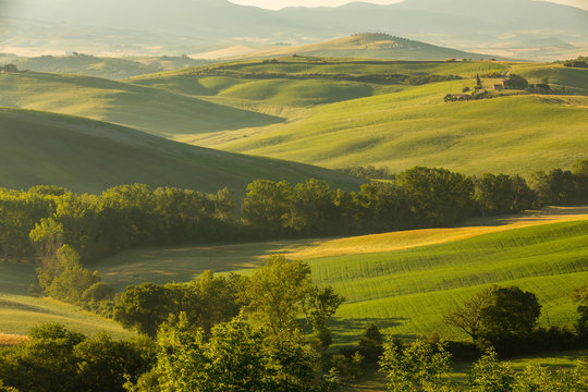 The lovely iconic landscapes of Tuscany in the morning sun