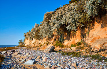 Stony beach on the Baltic Sea cliff in Hohen Wieschendorf. Mecklenburg-Vorpommern