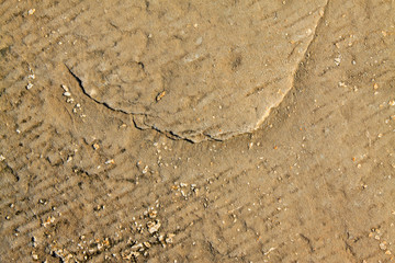Fototapeta na wymiar Surface texture of rocks