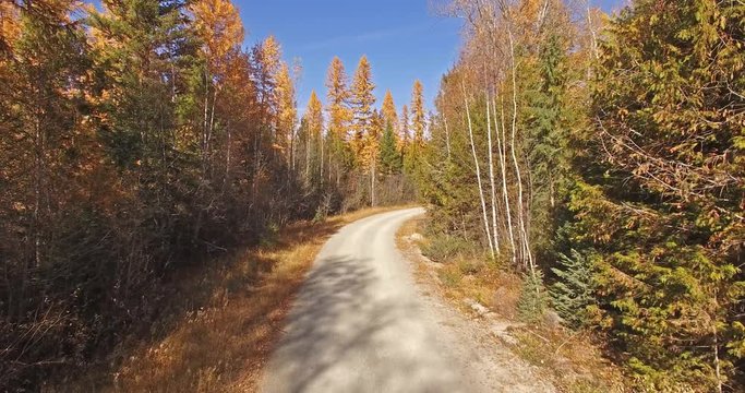 Aerial Drone Shot in Montana traveling down a dirt road in the Fall or Autumn
